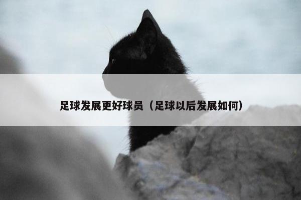 足球发展更好球员（足球以后发展如何）