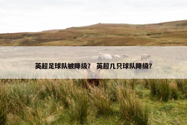 英超足球队被降级？ 英超几只球队降级？