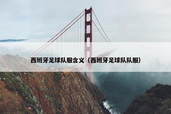 西班牙足球队服含义（西班牙足球队队服）