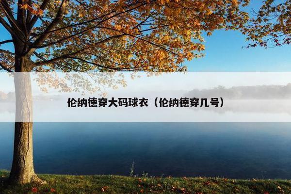 伦纳德穿大码球衣（伦纳德穿几号）