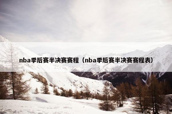 nba季后赛半决赛赛程（nba季后赛半决赛赛程表）
