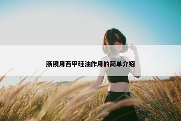 肠镜用西甲硅油作用的简单介绍