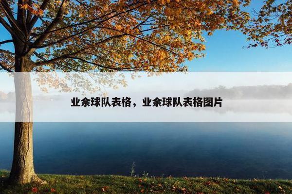 业余球队表格，业余球队表格图片