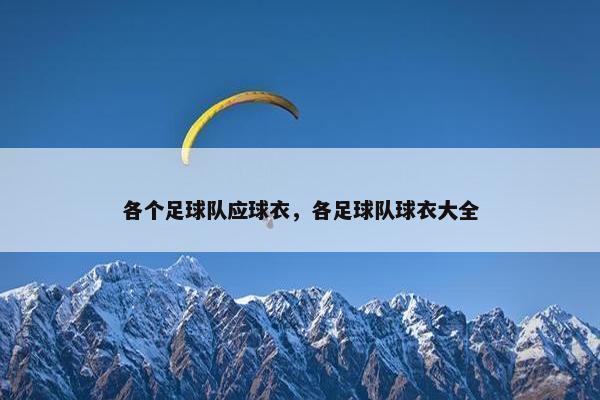 各个足球队应球衣，各足球队球衣大全