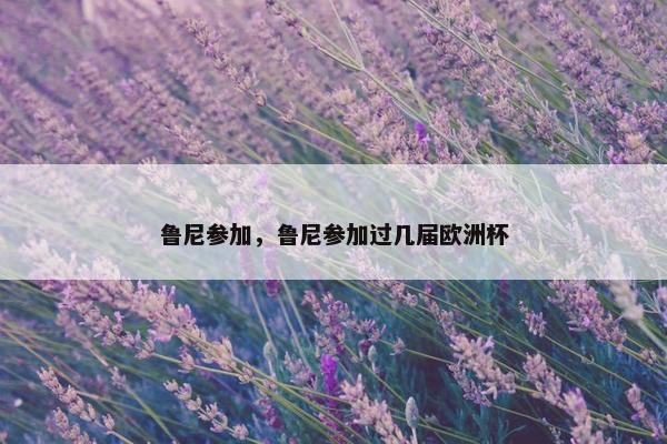 鲁尼参加，鲁尼参加过几届欧洲杯