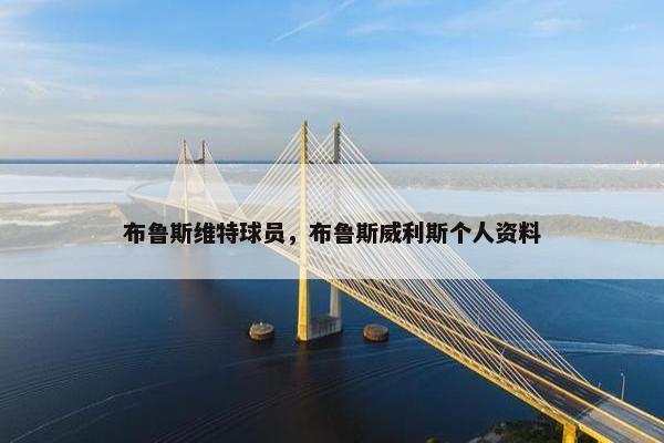 布鲁斯维特球员，布鲁斯威利斯个人资料