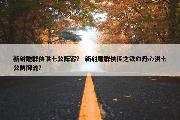 新射雕群侠洪七公阵容？ 新射雕群侠传之铁血丹心洪七公防御流？