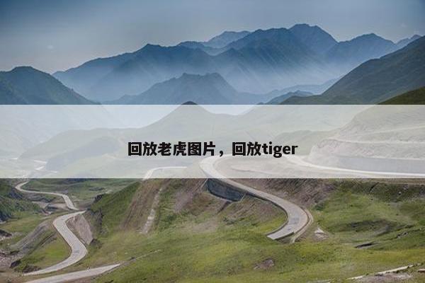 回放老虎图片，回放tiger