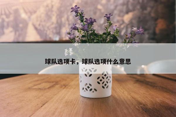 球队选项卡，球队选项什么意思