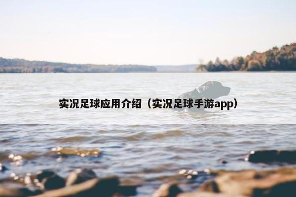 实况足球应用介绍（实况足球手游app）