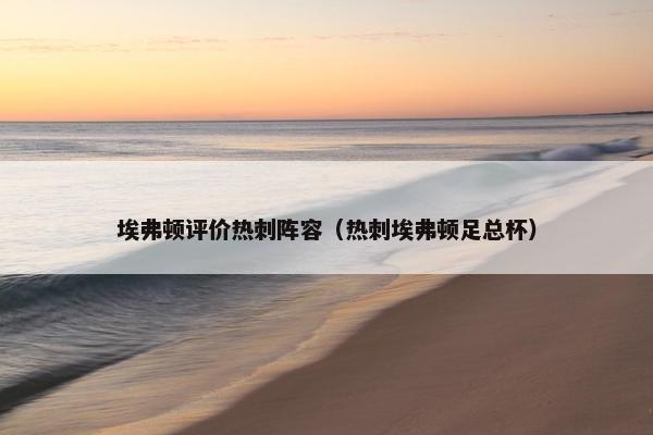 埃弗顿评价热刺阵容（热刺埃弗顿足总杯）