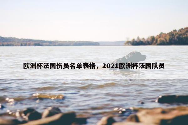 欧洲杯法国伤员名单表格，2021欧洲杯法国队员