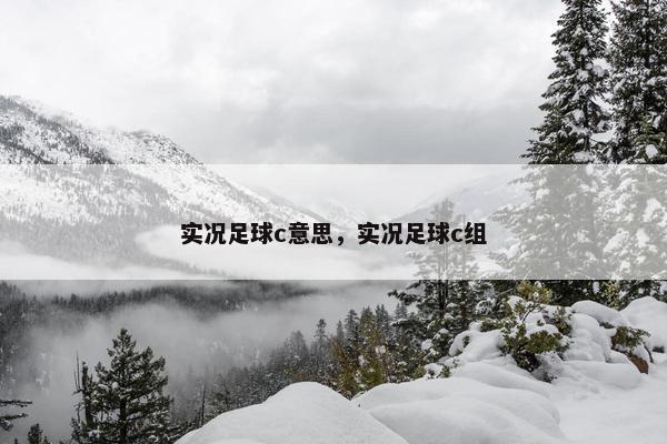 实况足球c意思，实况足球c组