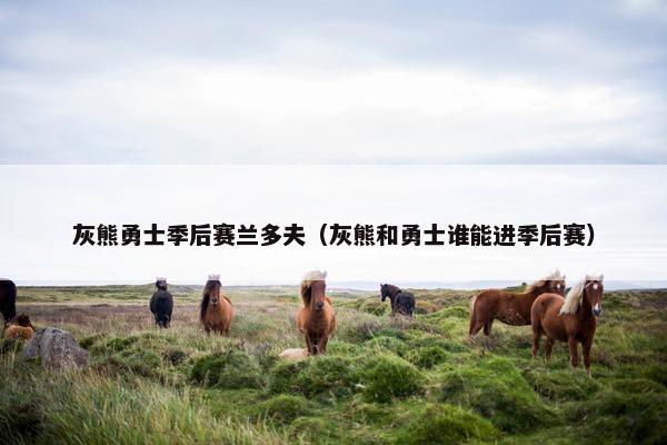 灰熊勇士季后赛兰多夫（灰熊和勇士谁能进季后赛）