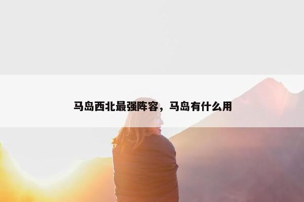 马岛西北最强阵容，马岛有什么用