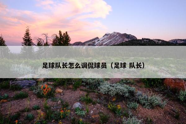 足球队长怎么调侃球员（足球 队长）