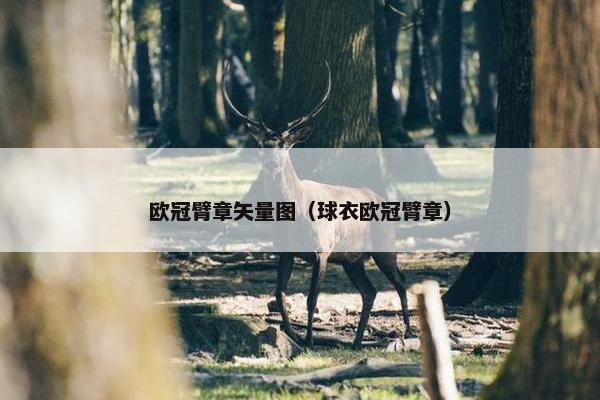 欧冠臂章矢量图（球衣欧冠臂章）