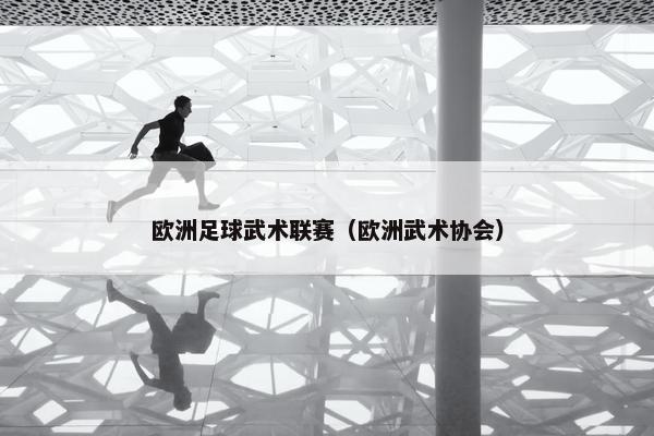欧洲足球武术联赛（欧洲武术协会）