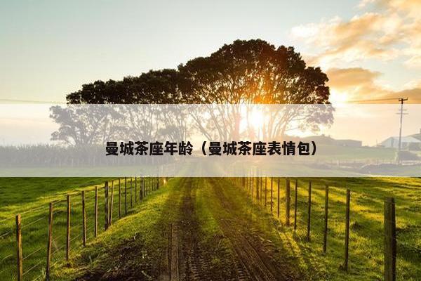 曼城茶座年龄（曼城茶座表情包）