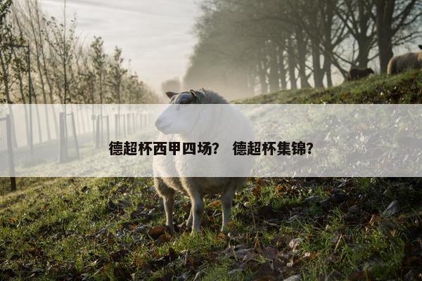 德超杯西甲四场？ 德超杯集锦？