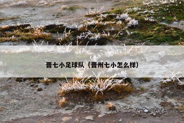 晋七小足球队（晋州七小怎么样）