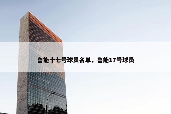 鲁能十七号球员名单，鲁能17号球员
