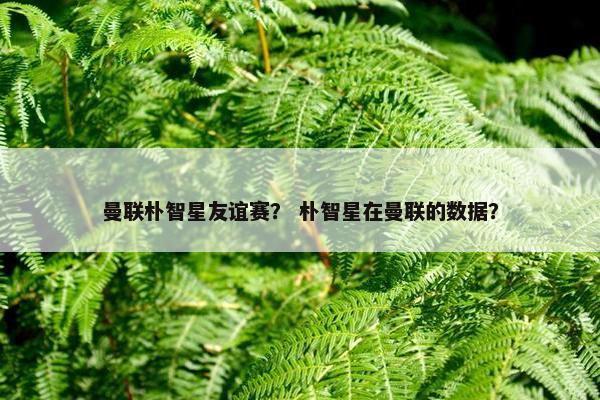 曼联朴智星友谊赛？ 朴智星在曼联的数据？
