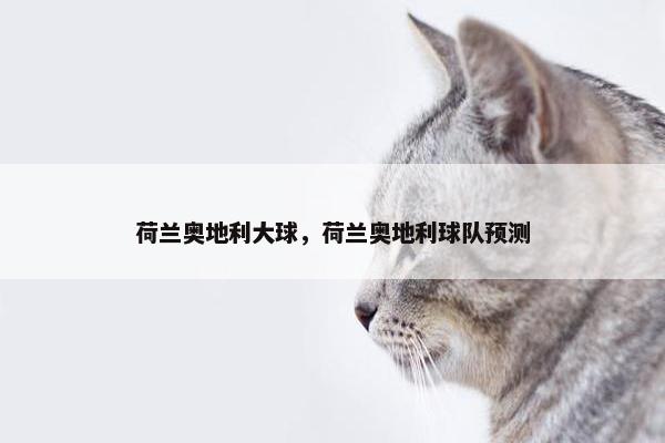 荷兰奥地利大球，荷兰奥地利球队预测