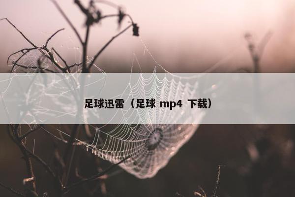 足球迅雷（足球 mp4 下载）
