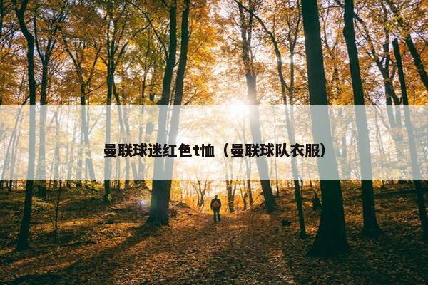 曼联球迷红色t恤（曼联球队衣服）