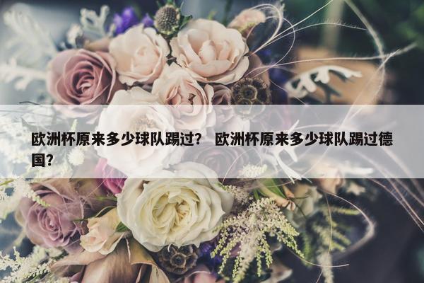 欧洲杯原来多少球队踢过？ 欧洲杯原来多少球队踢过德国？