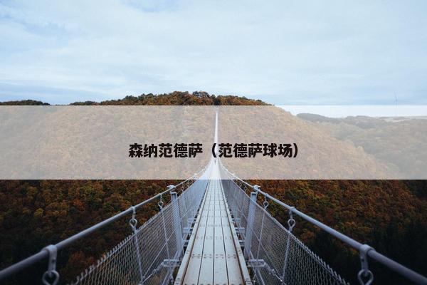 森纳范德萨（范德萨球场）