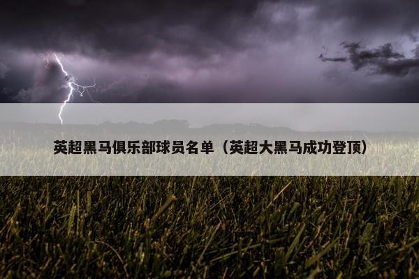 英超黑马俱乐部球员名单（英超大黑马成功登顶）