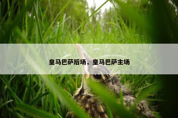 皇马巴萨后场，皇马巴萨主场