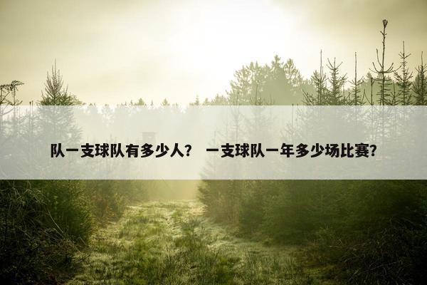 队一支球队有多少人？ 一支球队一年多少场比赛？