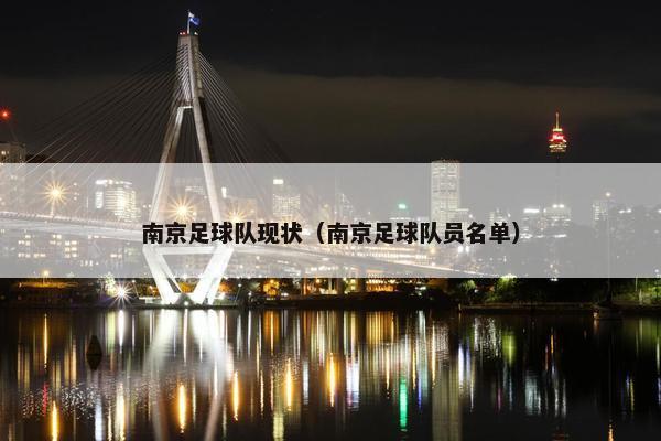 南京足球队现状（南京足球队员名单）