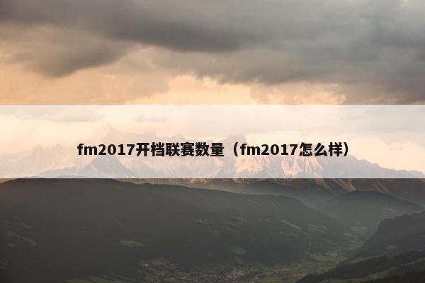 fm2017开档联赛数量（fm2017怎么样）