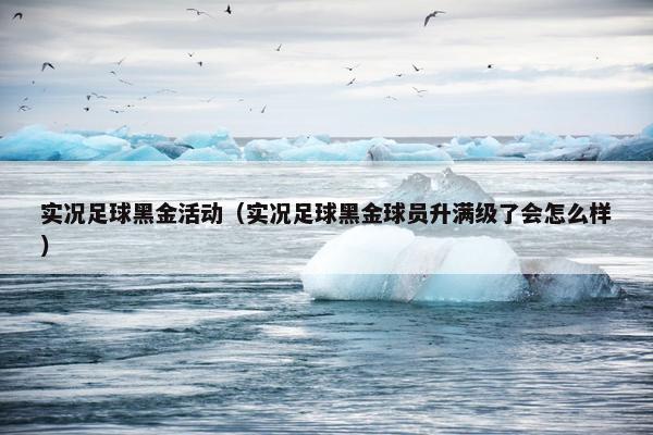 实况足球黑金活动（实况足球黑金球员升满级了会怎么样）