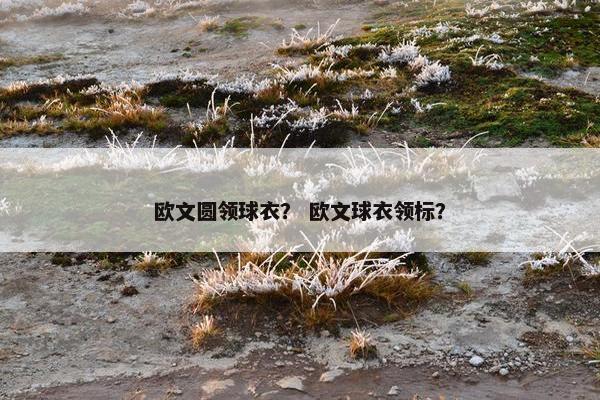 欧文圆领球衣？ 欧文球衣领标？