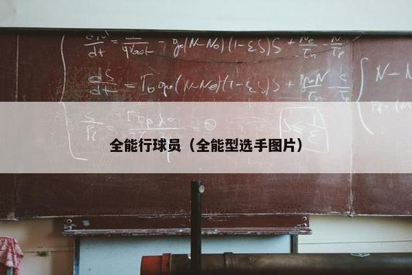 全能行球员（全能型选手图片）
