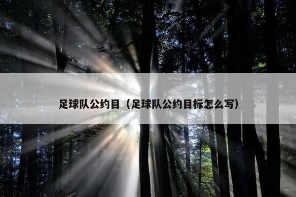 足球队公约目（足球队公约目标怎么写）