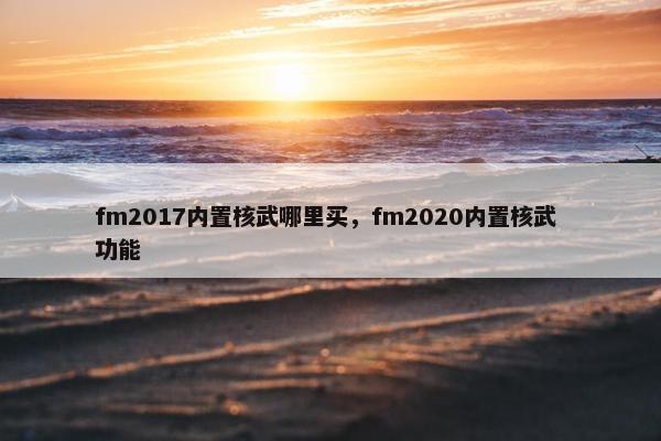 fm2017内置核武哪里买，fm2020内置核武 功能