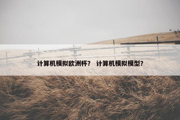 计算机模拟欧洲杯？ 计算机模拟模型？