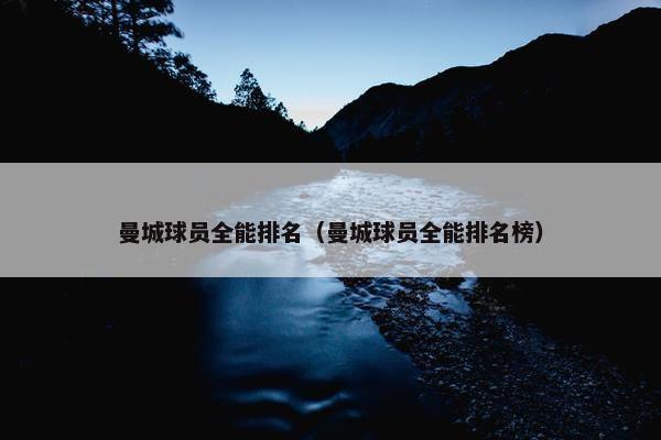曼城球员全能排名（曼城球员全能排名榜）