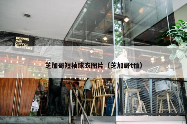 芝加哥短袖球衣图片（芝加哥t恤）