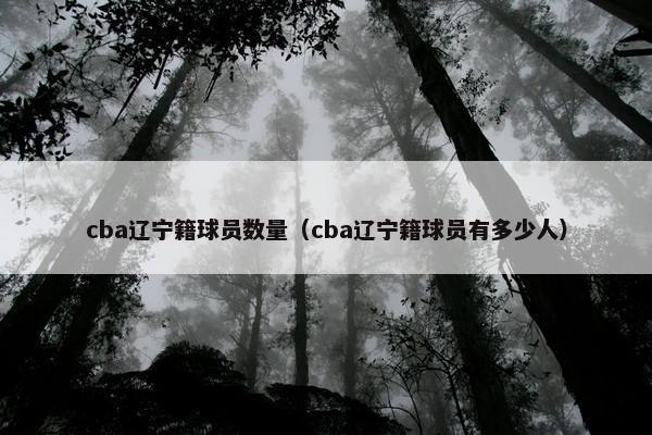 cba辽宁籍球员数量（cba辽宁籍球员有多少人）