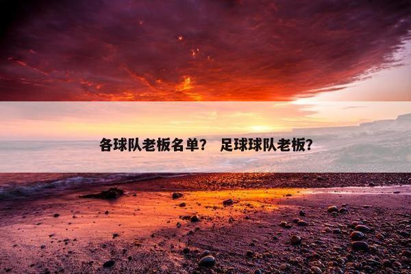 各球队老板名单？ 足球球队老板？
