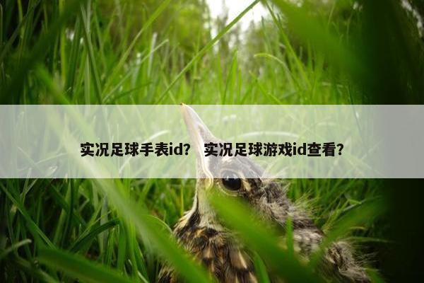 实况足球手表id？ 实况足球游戏id查看？