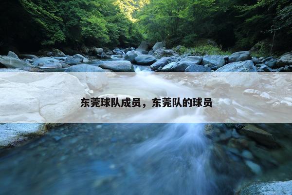 东莞球队成员，东莞队的球员