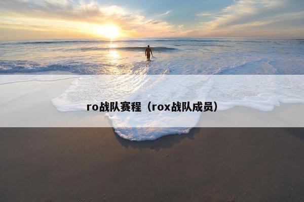 ro战队赛程（rox战队成员）